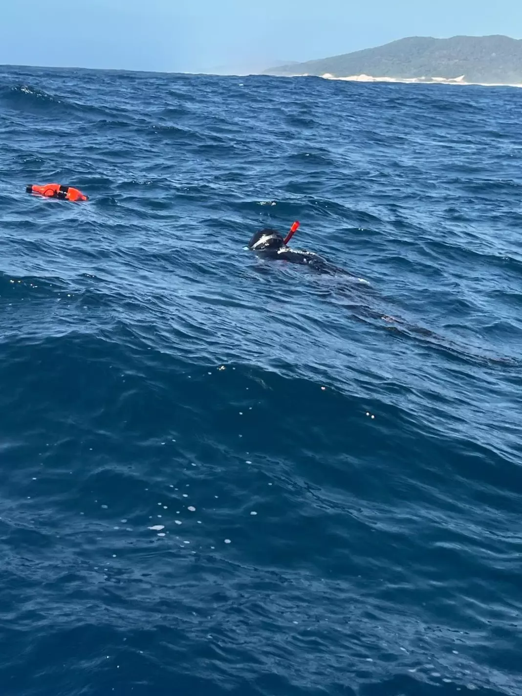 Spearfisher floating on surface
